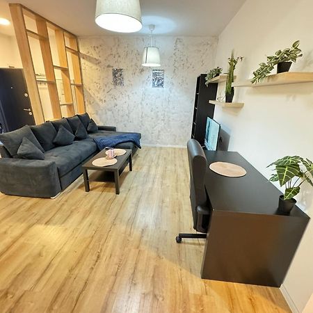 Glam Apartments Lipatti Near Iulius Mall And City Center ティミショアラ エクステリア 写真