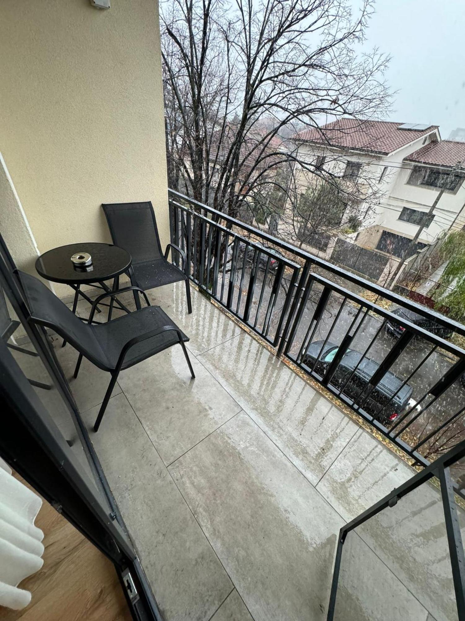 Glam Apartments Lipatti Near Iulius Mall And City Center ティミショアラ エクステリア 写真